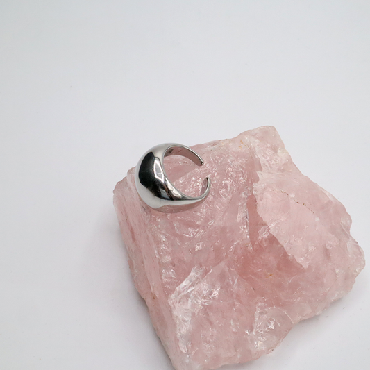 Edelstahl Ring